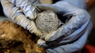 In this Wednesday, Sept. 21, 2016 photo, archaeologist Marie Kesten Zahn, of Yarmouth, Mass. displays a silver coin recovered from the wreckage of the pirate ship Whydah Gally at the Whydah Pirate Museum, in Yarmouth. (AP Photo/Steven Senne)