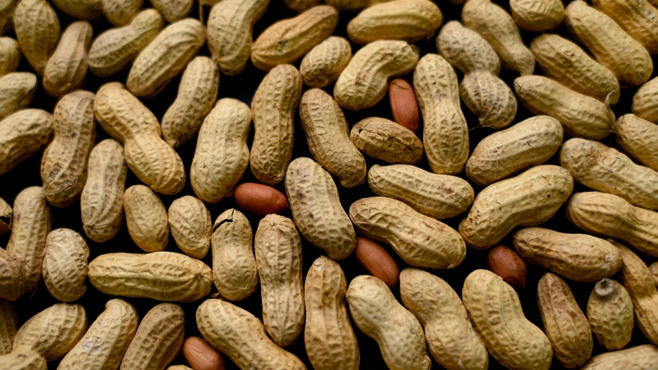 Peanut file