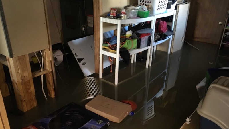Basement flooding in Chatham-Kent, Ont., on Monday, Feb. 26, 2018. (Chris Campbell / CTV Windsor)