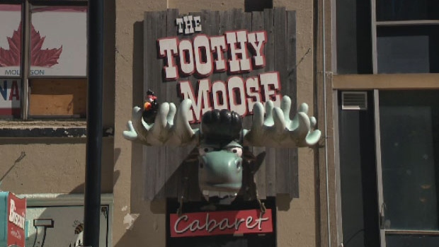 Toothy Moose