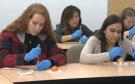 Students inject water into oranges as a simulation to learn the technique of injecting naloxone to bring overdoses opiate users back from the brink of death.