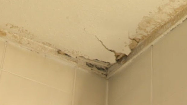 Southeast Calgary Community Hall Shut Down Because Of Mould