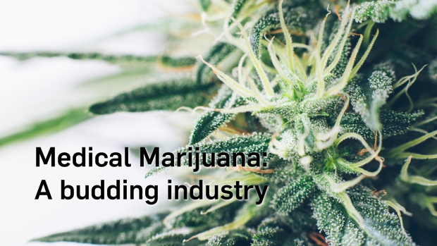 Medical Marijuana: A budding industry