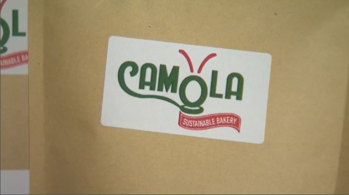 Camola Sustainable Bakery is adding crickets to their italian recipes.