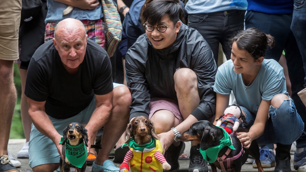 Doggie dash in Hong Kong