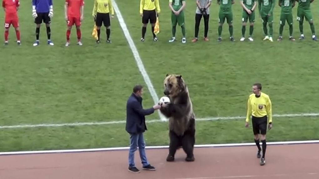 A bear performs at a Russian Second League match