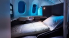 Air Canada's International Business Class cabin on the 787 Dreamliner is shown in a handout photo. Air Canada will be offering lie-flat seats on some North American routes as of June 1. (THE CANADIAN PRESS/HO-Air Canada)