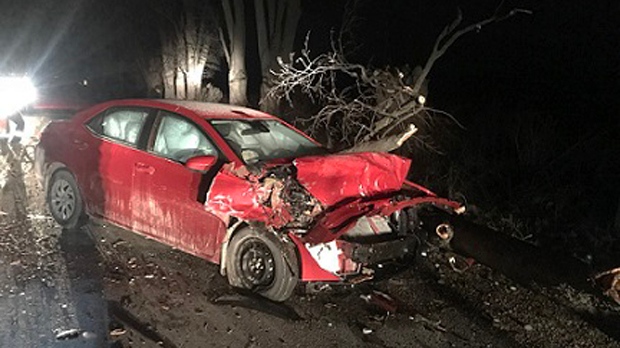 A car was destroyed when it collided with a downed tree on Airport Line near Dashwood. (Huron County OPP)