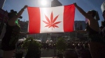 Two people hold a modified design of the Canadian flag with a marijuana leaf in in place of the maple leaf during the "4-20 Toronto" rally in Toronto, April 20, 2016.THE CANADIAN PRESS/Mark Blinch