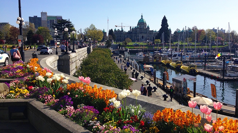 Victoria's Inner Harbour is shown on Thurs., April 26, 2018. (CTV Vancouver Island)