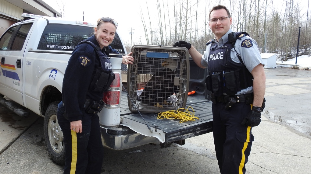 RCMP officers with eagle