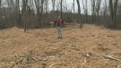 Residents angry trees torn down in Mud Lake 