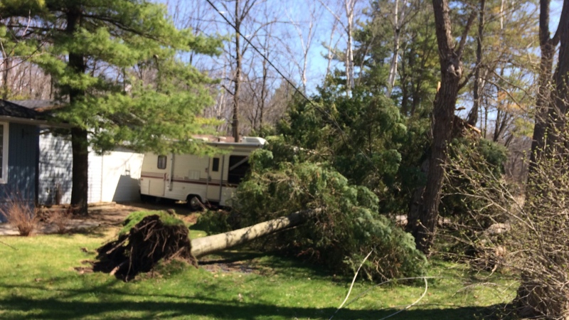 Clean-up underway across Innisfil, Barrie, and surrounding areas after wind storm uproots trees and downs power lines - File Image. (CTV Barrie/Rob Cooper)