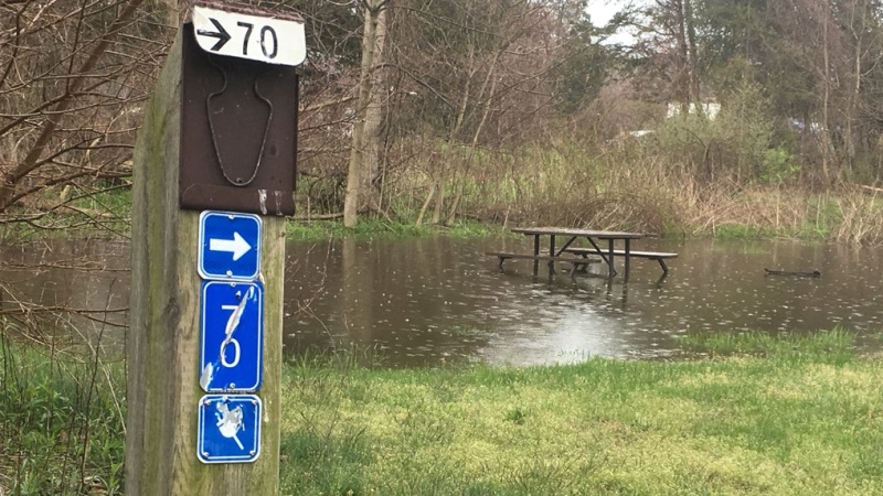 Flooding at Rondeau campground in Chatham-Kent, Ont., on Monday, May 14, 2018. (Chris Campbell / CTV Windsor)