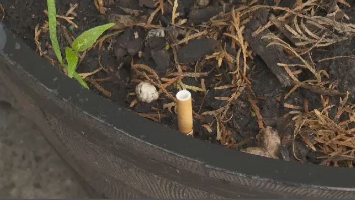 Cigarette in flower pot