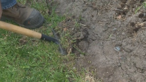Preparing your soil can make or break your garden