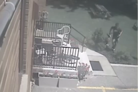 Video surveillance shows a man after hitting a dog