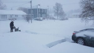 Newfoundland snowstorm 