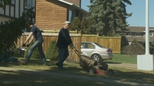 A local experts gives best practices on lawn care