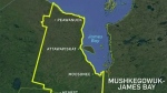 Election profile for Mushkegowuk-James Bay