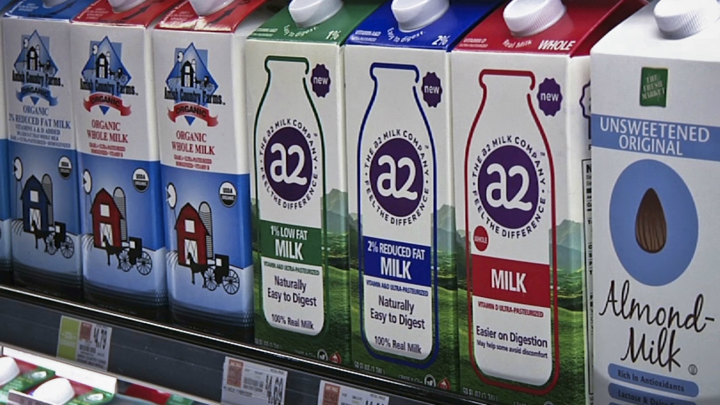 Dairy companies brewing milk alternative