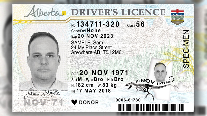 The Alberta government released a preview of the new designs for the Alberta driver's licence. Supplied.