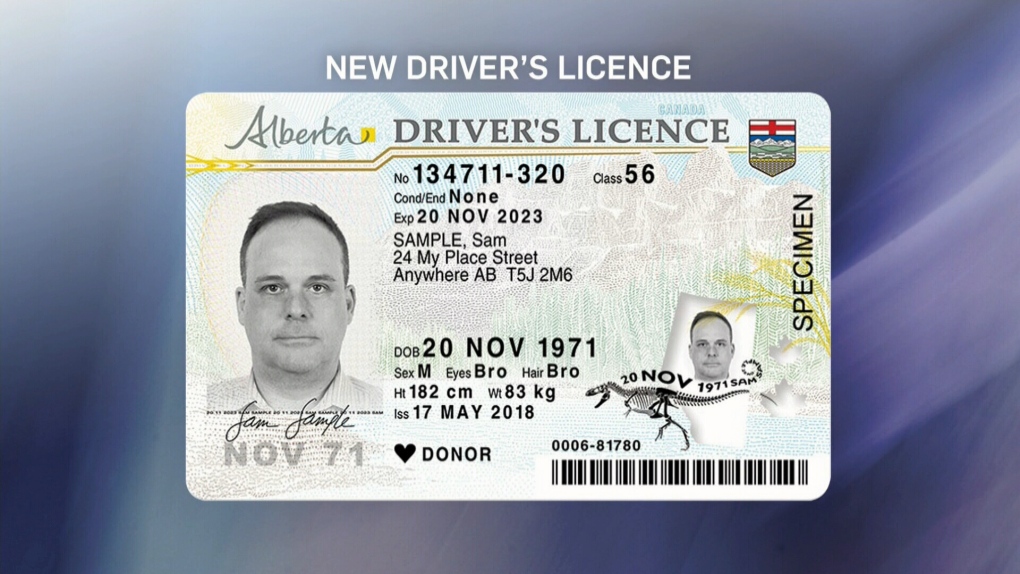 Driver s license. Канадская ID карта. ID карта Канады. Alberta Driver License.