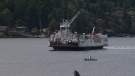 The MV Klitsa, which serves the Mill Bay-Brentwood Bay BC Ferries route, is shown in the Saanich Inlet. June 6, 2018. (CTV Vancouver Island)