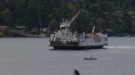 The MV Klitsa, which serves the Mill Bay-Brentwood Bay BC Ferries route, is shown in the Saanich Inlet. June 6, 2018. (CTV News)