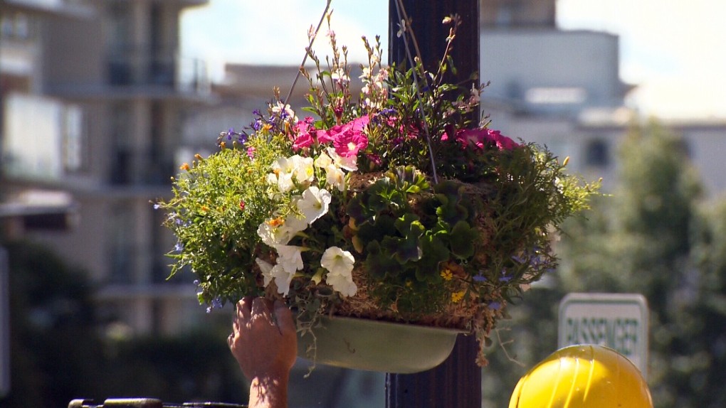 hanging flower basket