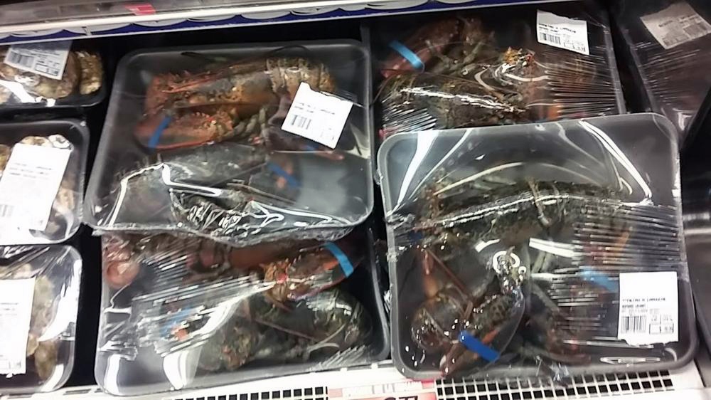 plastic-wrapped lobsters