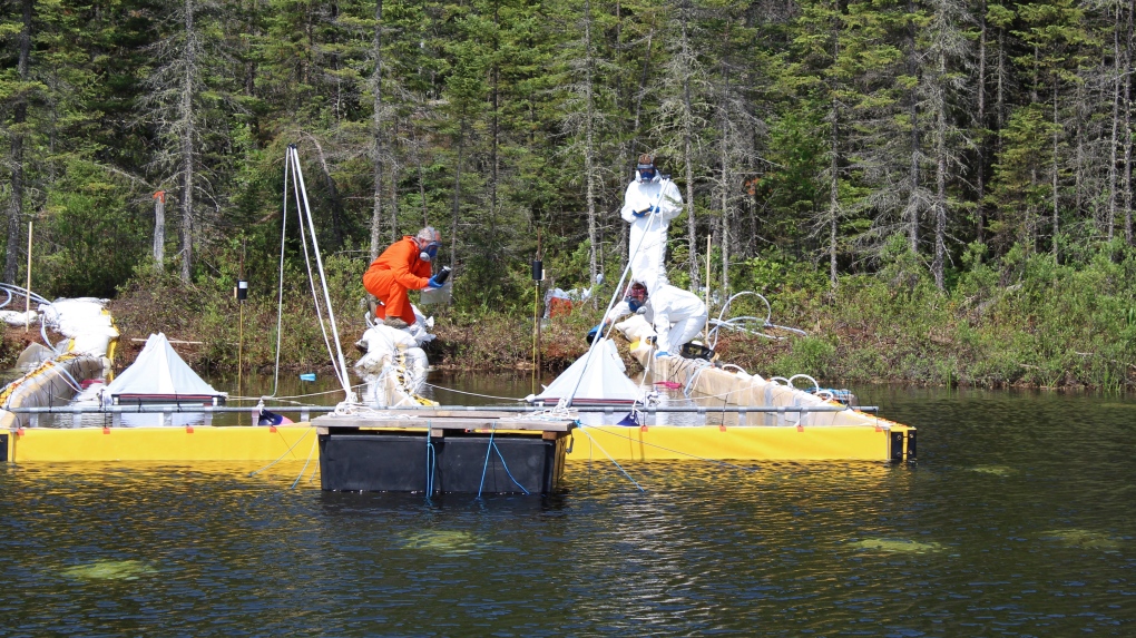 Freshwater Oil Spill Remediation Study 