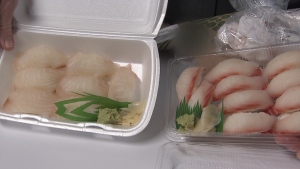 sushi samples