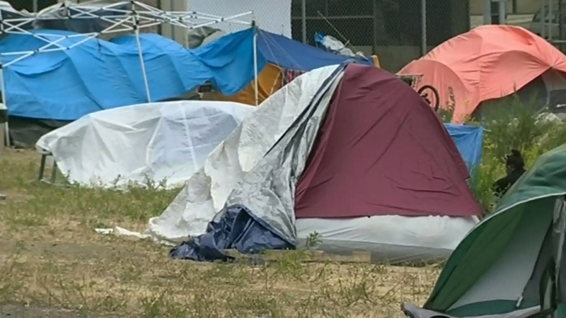 A homeless encampment on Vancouver Island is pictured in this undated file photo. (CTV News)