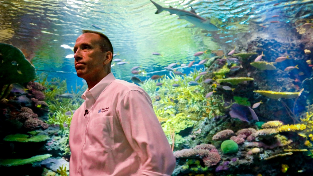 Jon Dohlin, director of the New York Aquarium,