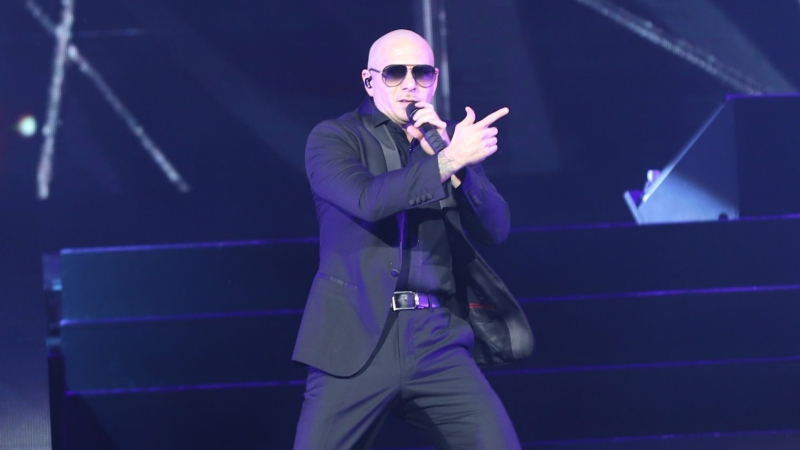 Pitbull at Caesars Windsor on Saturday, June 23, 2018. (Melanie Borrelli / CTV Windsor)
