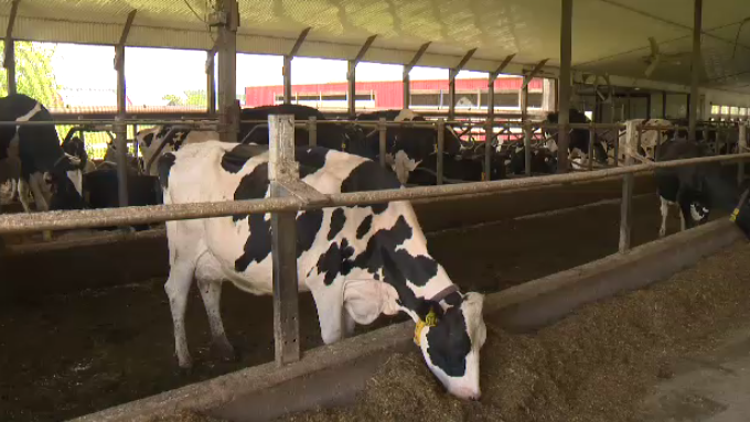 Milk prices in Nova Scotia are among the highest in Canada.