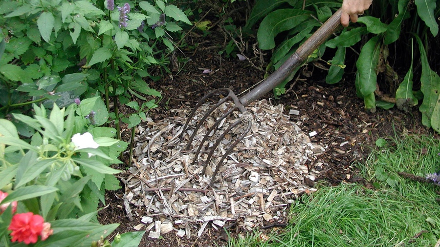 Mulch on a garden
