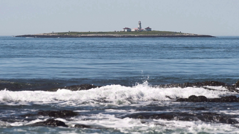 Machias Seal Island is seen on June 24, 2016. (THE CANADIAN PRESS/Andrew Vaughan)