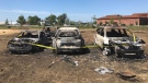 Charred vehicles sit in a field in Niagara-on-the-Lake after a grass fire destroyed dozens of vehicles during a festival. (Sean Leathong/CTV News Toronto)