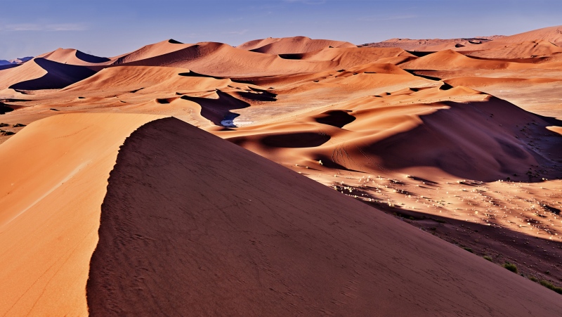 Australian researchers have uncovered the world's oldest biological colour in the Sahara desert. (the-lightwriter / Istock.com)