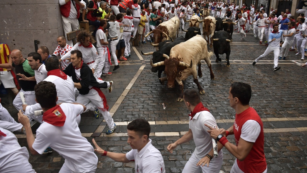Running of the bulls at the San Fermin Festival