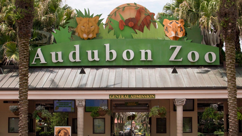 Audubon Zoo