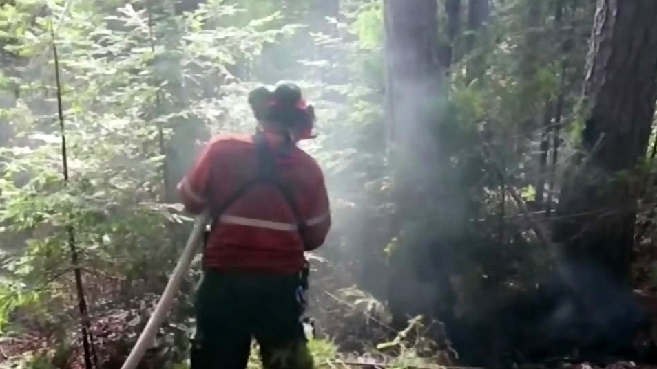 MNRF cautiously optimistic on forest fires