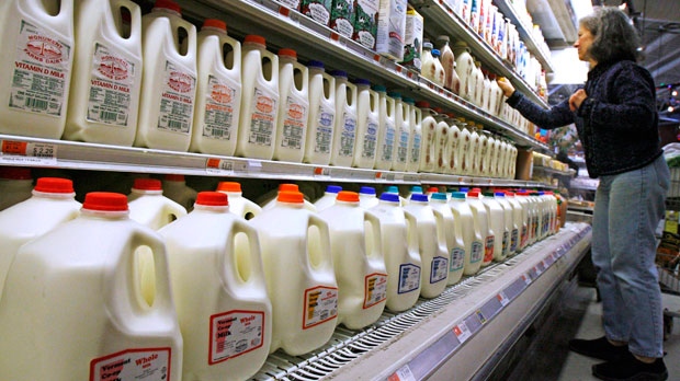 In this Feb. 11, 2009, file photo, a shopper looks over the milk aisle at the Hunger Mountain Co-op in Montpelier, Vt.  (AP Photo/Toby Talbot, File)
