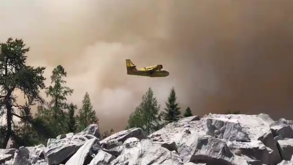 A waterbomber fighting the forest fire