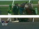 Track officials assist the jockey following the incident at Woodbine Racetrack, Wednesday, June 17, 2009.