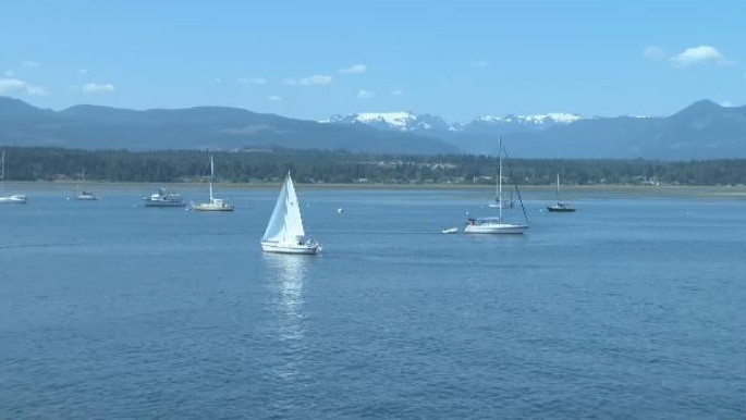 boats on the water in comox