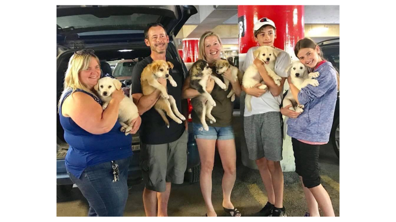 Leroux family as puppies arrive in Ottawa.