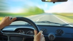 August has been named the most dangerous driving month of the year. (Dudarev Mikhail/shutterstock.com)
